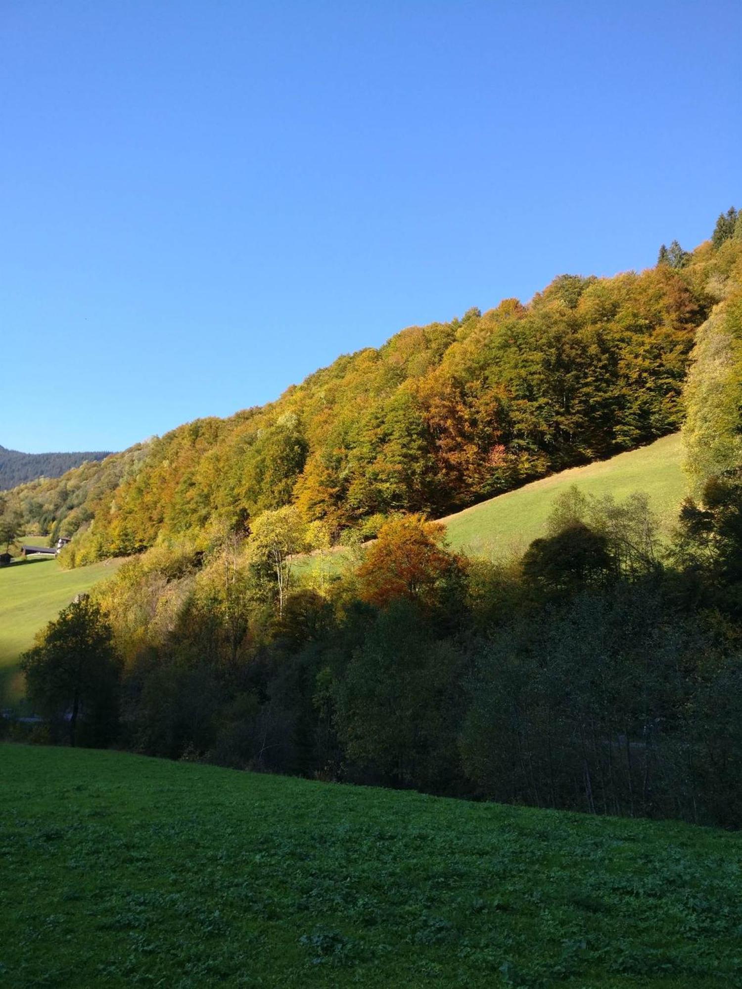 Frühstückspension Gweil Sankt Gallenkirch Exterior foto